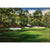Augusta National 13th hole, Original Oil Painting