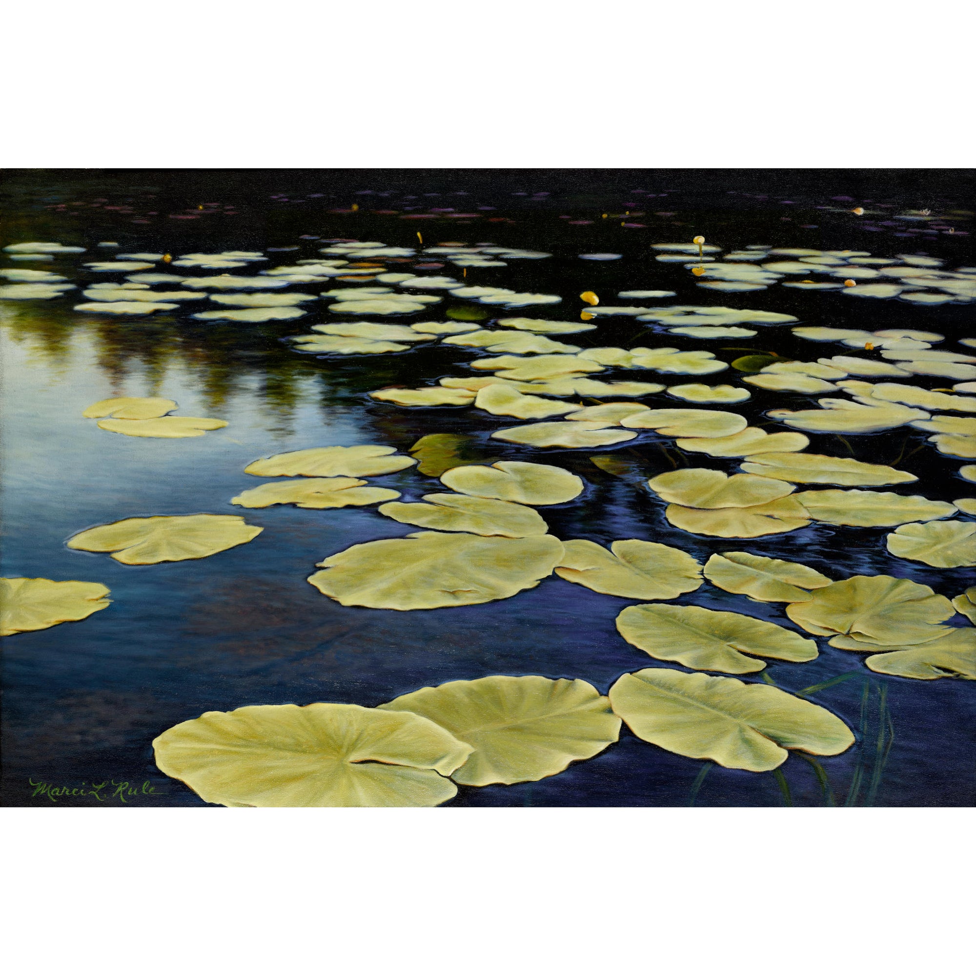 Lily Pads - Original Oil Painting